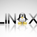 Linuxのgccで32ビット用のバイナリにコンパイルする方法